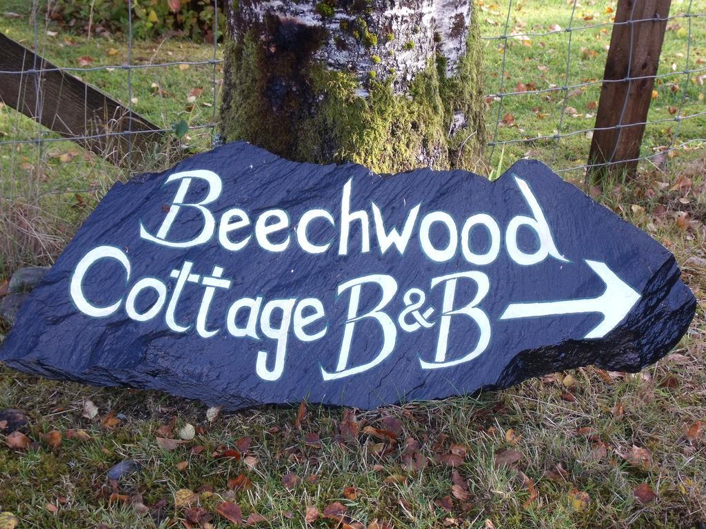 Beechwood Cottage B&B Glencoe Ngoại thất bức ảnh