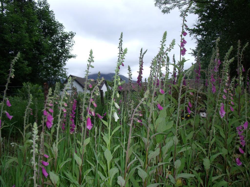 Beechwood Cottage B&B Glencoe Ngoại thất bức ảnh
