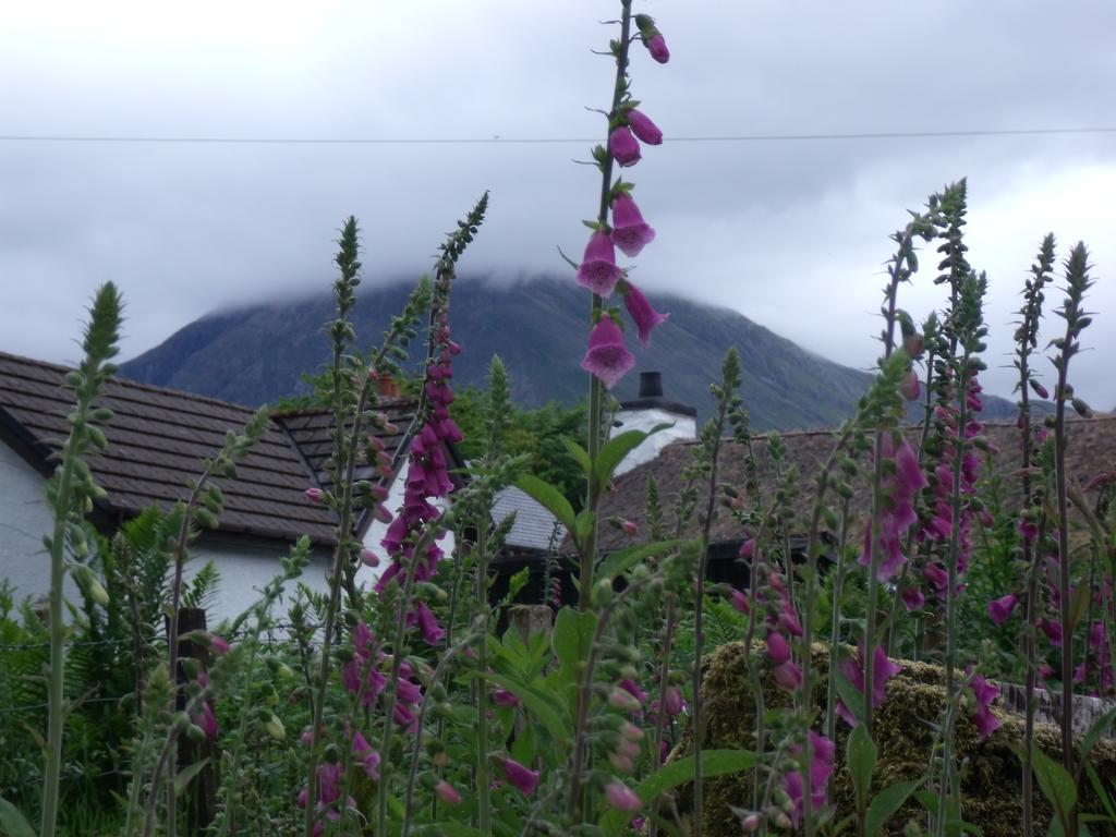 Beechwood Cottage B&B Glencoe Ngoại thất bức ảnh