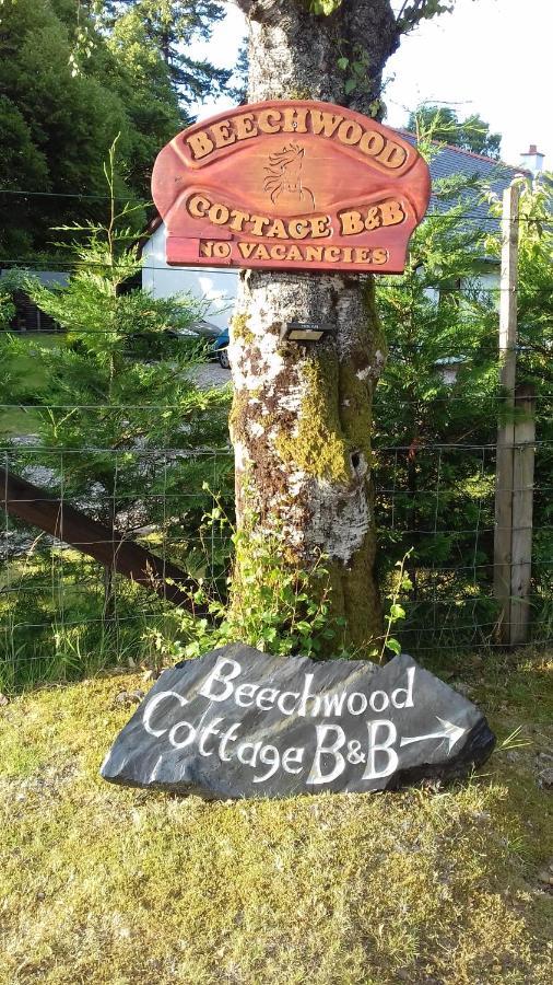 Beechwood Cottage B&B Glencoe Ngoại thất bức ảnh